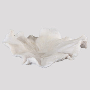 Floating Wave Bowl