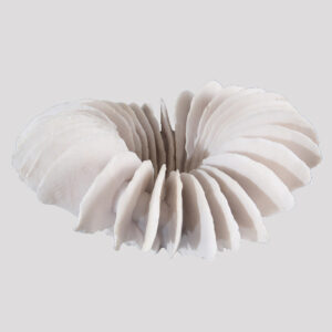 Translucent Ridges Bowl