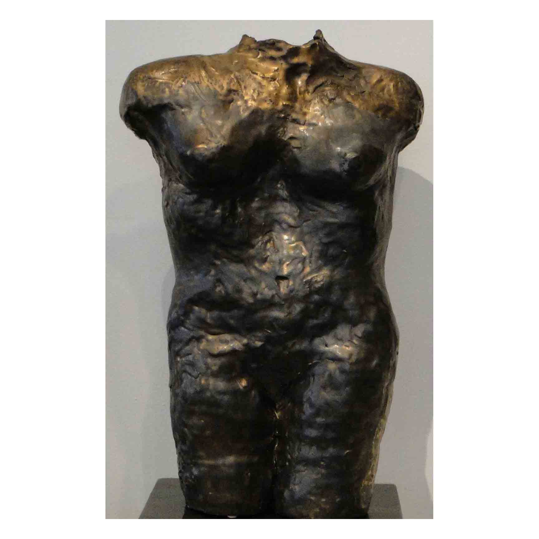 #121 Bronze Metallic Torso - Image 1