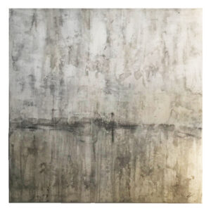 Fleeting Images