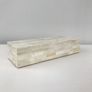 Bone Remote Control Box