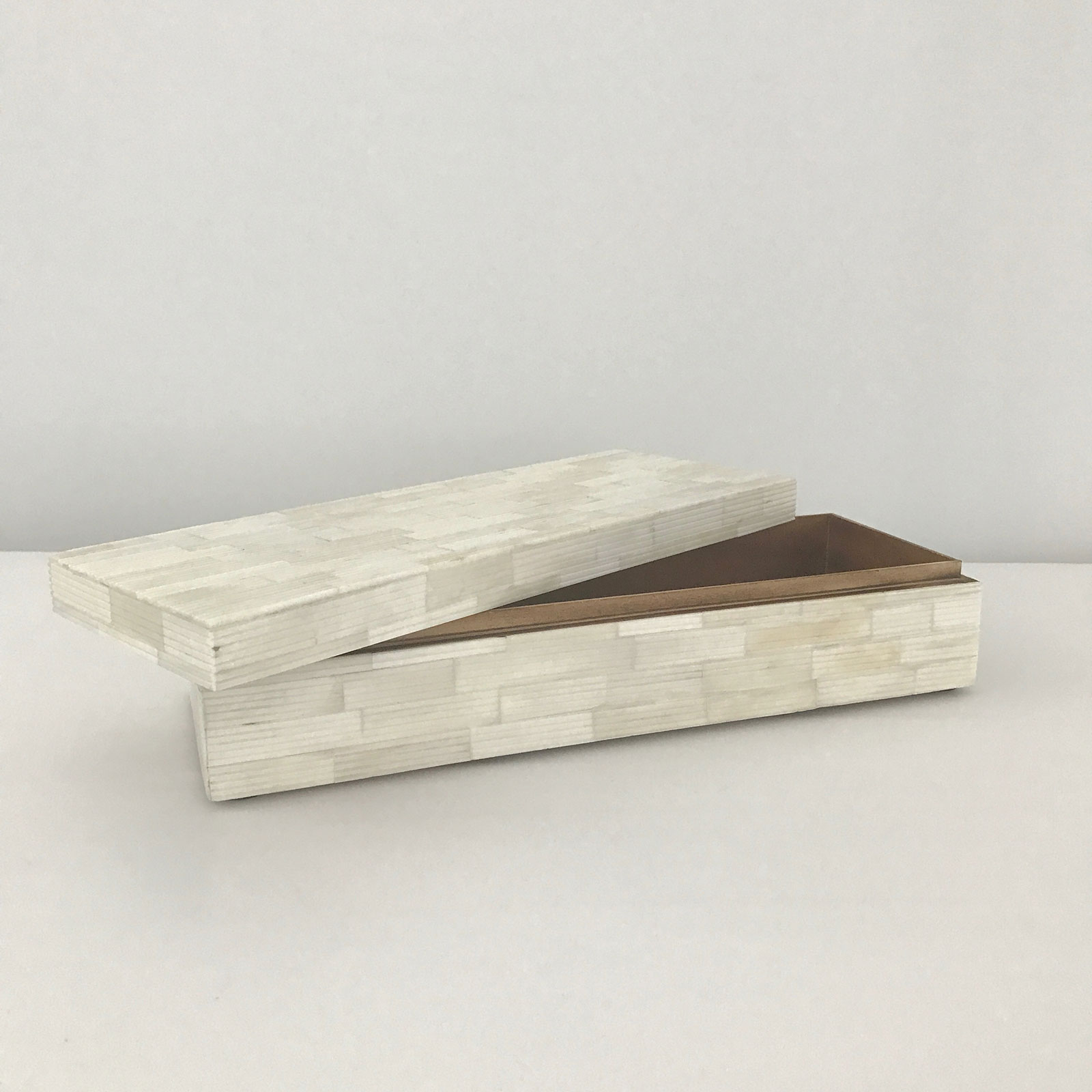 Bone Remote Control Box - Image 2