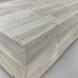 Bone Remote Control Box - Thumbnail Image 3