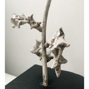 Into the Woods no. 27 - Thumbnail Image 4