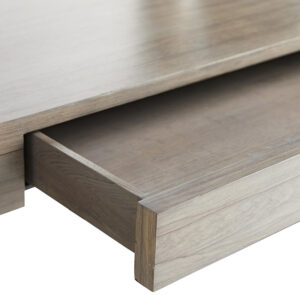 Parnell_Desk_5081_detail_Arteriors_VillaVici