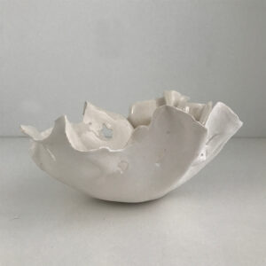 jp30-jaye-parrish-paradigm-bowl-med-2
